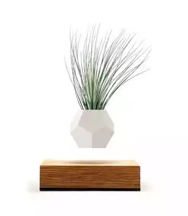 LYFE - Original, Authentic Floating Levitating Plant Pot for Air Plants (Oak Base, 12-Sided Geodesic Silicon Planter)