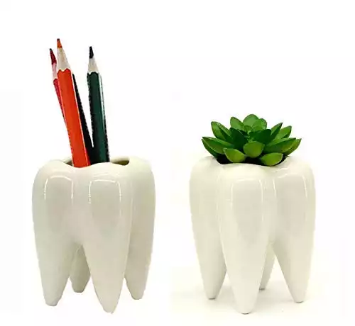 Gift Prod 2 Pcs Teeth Pots White Ceramic Succulent Planter Pots