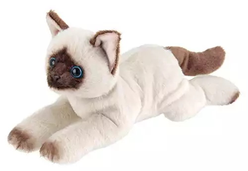 Bearington Lil' Cleo Small Plush Stuffed Animal Siamese Cat, 8 inch