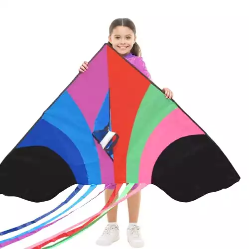 Tomi Kite – Huge Rainbow Kite - Ideal for Kids and Adults – Easy to Launch in Stiff Wind or Soft Breeze – 60 Inches Wide – 100 Meter String – 6 Tails – Built to Last - Great for Family Fun