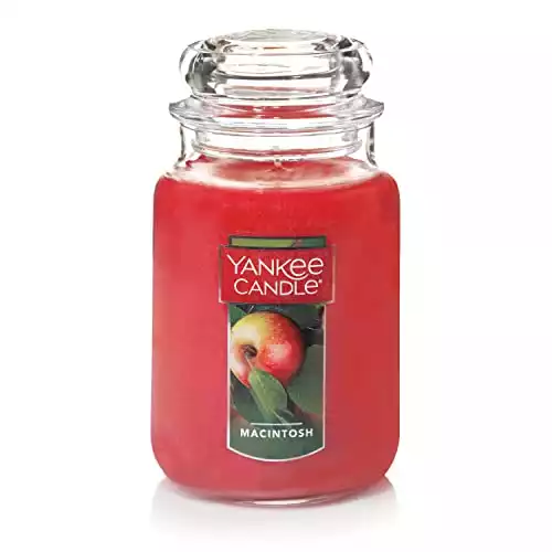 Yankee Candle Large Jar Candle, Macintosh