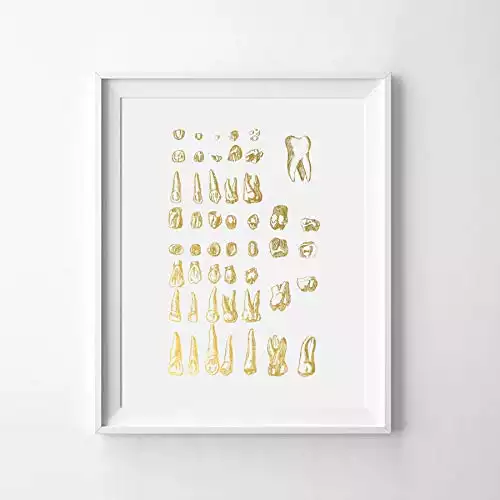 Human Tooth III Gold Foil Art Print Human Teeth Anatomy Gold Print