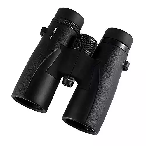 Wingspan Optics Skyview Ultra HD - 8X42 Binoculars for Bird Watching for Adults with ED Glass. Waterproof, Wide Field of View, Close Focus. Experience Better and Brighter Bird Watching in Ultra HD