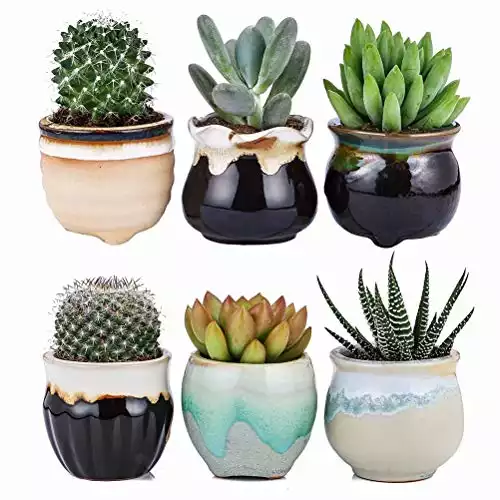 2.5 Inch Ceramic Planters,Flowing Glaze Succulent Planters Cactus Flower Plant Pot/Container Mini Succulent Plant Pots Black White Base Serial 6pcs in Set