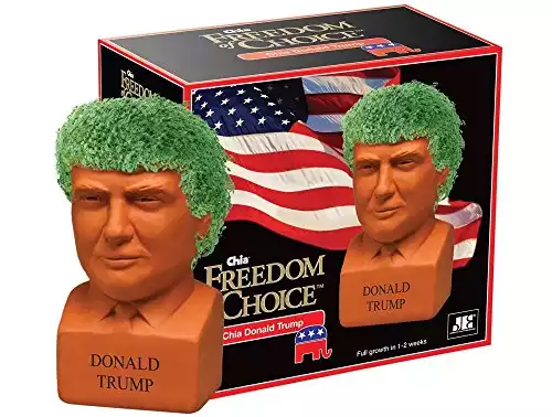 Chia Pet Donald Trump, Decorative Pottery Planter, Freedom of Choice, Easy to Do and Fun to Grow, Novelty Gift, Perfect for Any Occasion