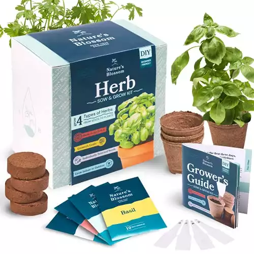 Nature's Blossom Herb Garden Kit - 5 Herbs To Grow From Organic Seeds. Gardening Starter Set With Everything a Gardener Needs To Easily Grow 5 Plants - Thyme, Basil, Cilantro, Parsley and Sage