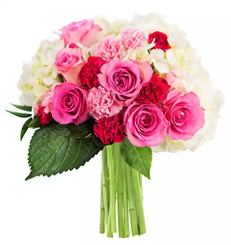 KaBloom Let Them Eat Cake Bouquet of Pink Roses and White Hydrangeas